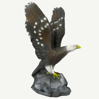 Leitold Bald Eagle