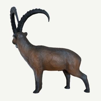 Leitold Alpensteinbock