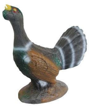 Longlife Courting Blue Grouse