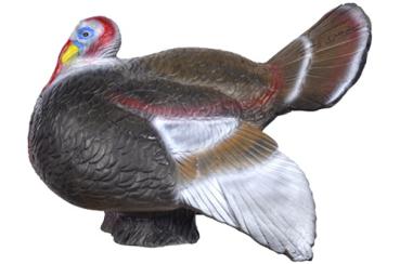 Longlife Courting Gobbler