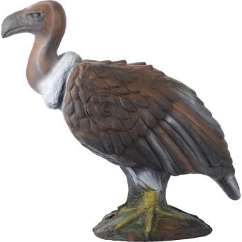 Longlife Monk Vulture
