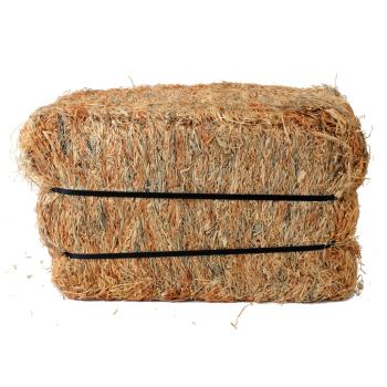 Wood Wool Target