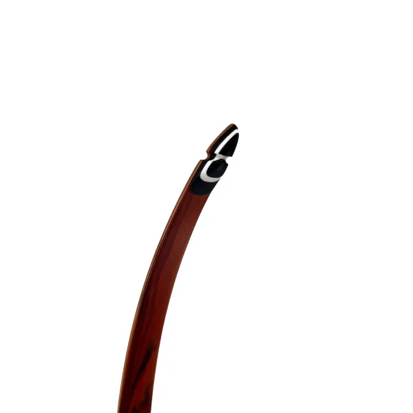 Fire Stick