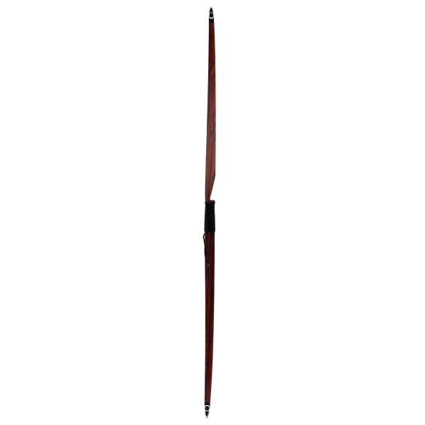 Fire Stick