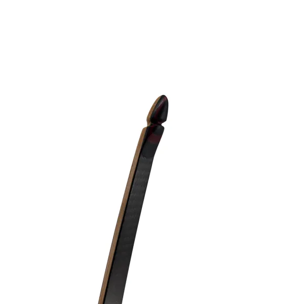 Raven Carbon