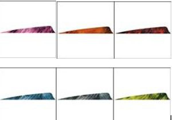Feder RW Shield 4 Zoll Camo Tre