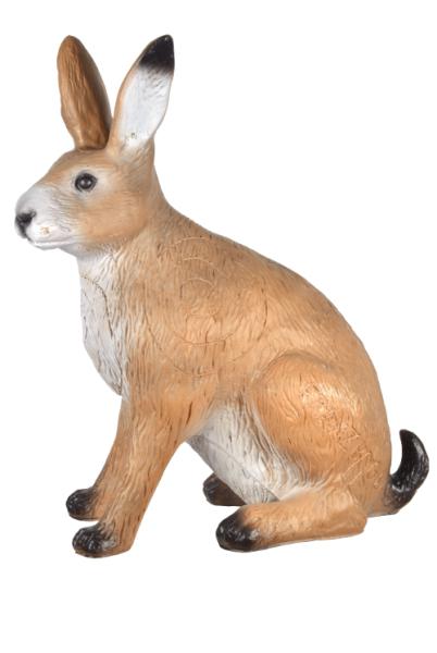 FB Great Hare