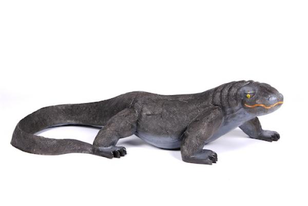 FB Goanna