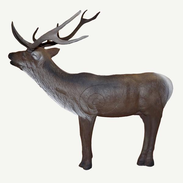 Leitold Red Deer