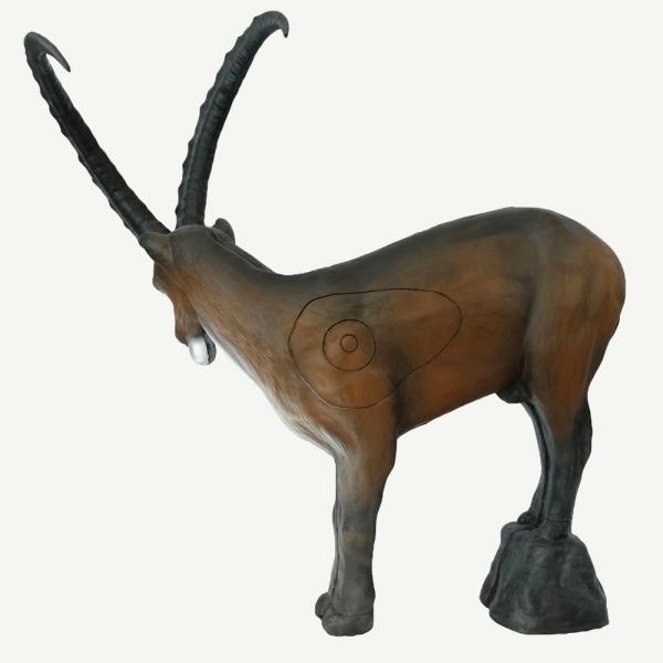Leitold Ibex