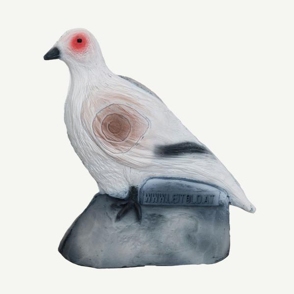 Leitold Snow Grouse