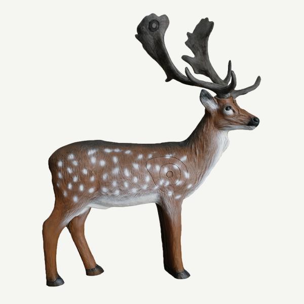Leitold Fallow Deer
