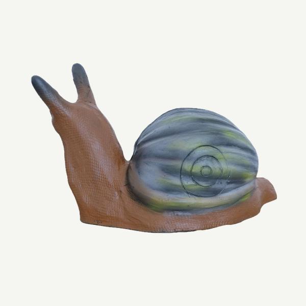 Leitold Snail