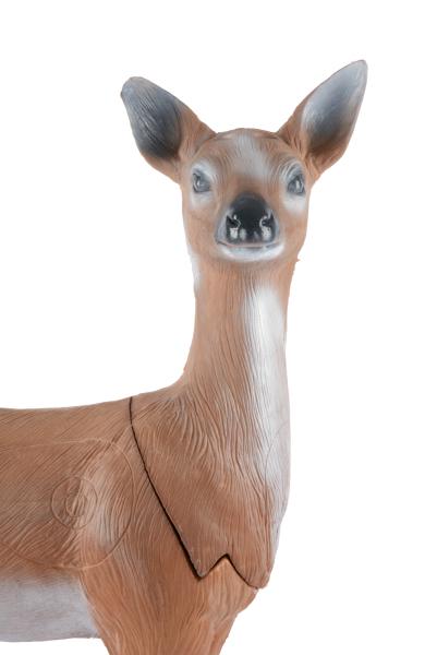 Longlife Witterndes Reh