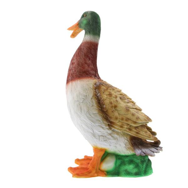 TC Targets - Ente Biggi