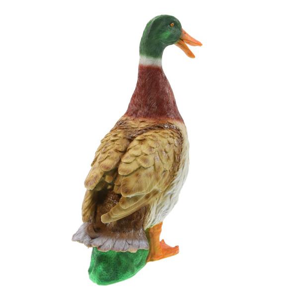 TC Targets - Ente Biggi