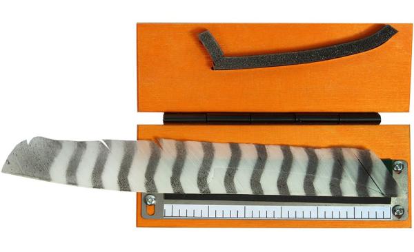 Shark Cutter – Feather Cutter